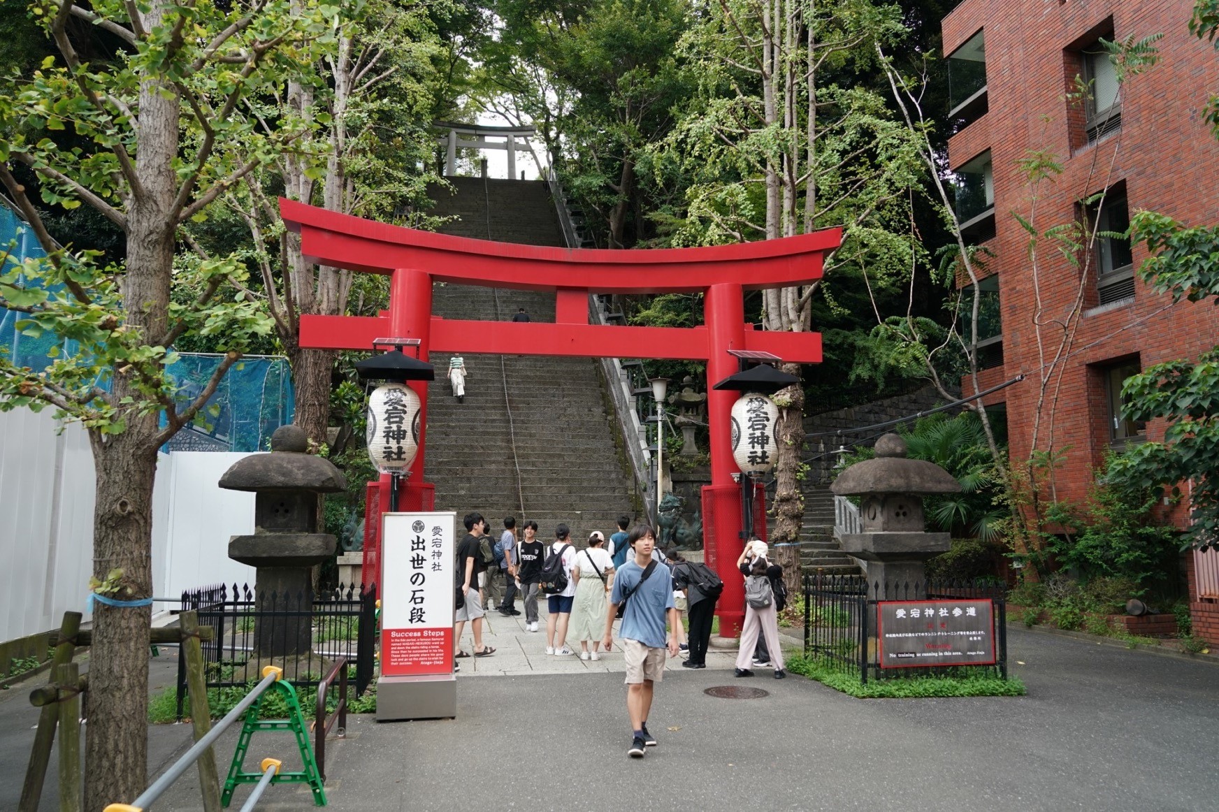 Image (4)